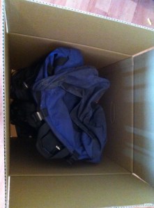 Backpack in City Box