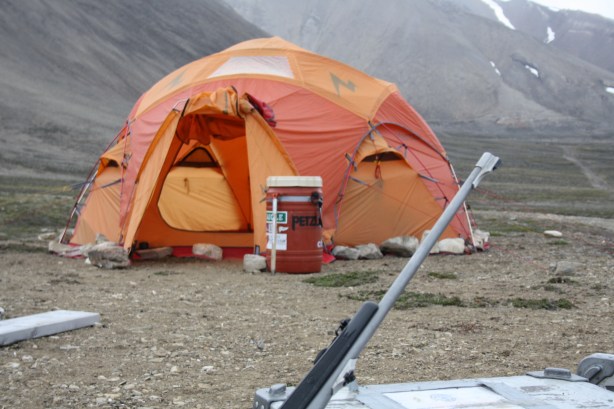 Polar bear protection