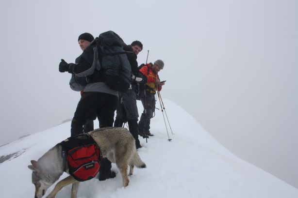 The last climb to Tarantallen