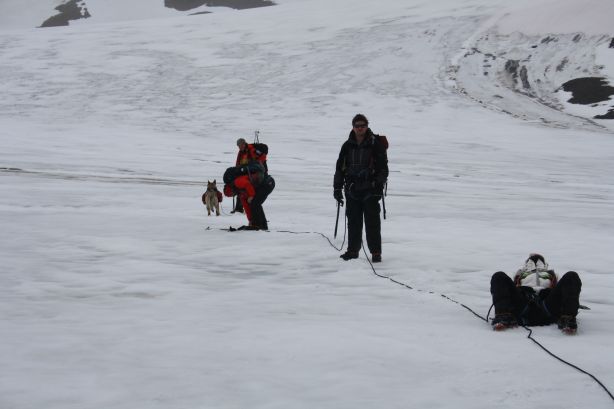 Tethered together on the glacier Tethered together on the glacier