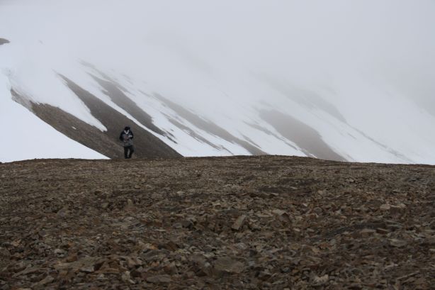 A windy and icy toilet break A windy and icy toilet break