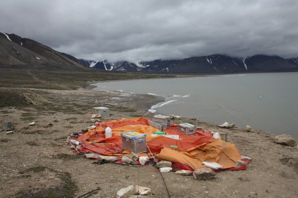 Main tent protected from further damage Main tent protected from further damage