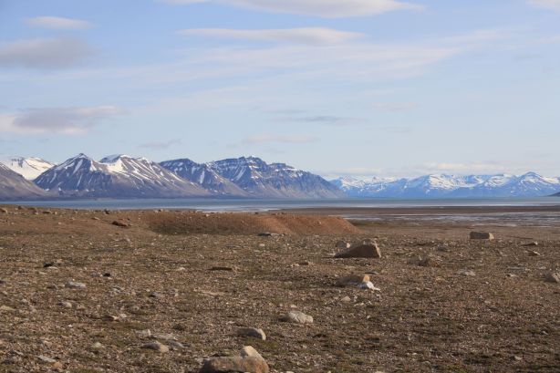 Petunia Bukt in the sun