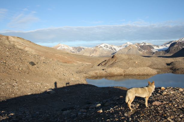 Shadows of the two bear watchers