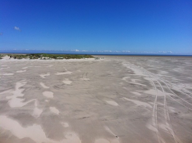 The vast sandy expanse