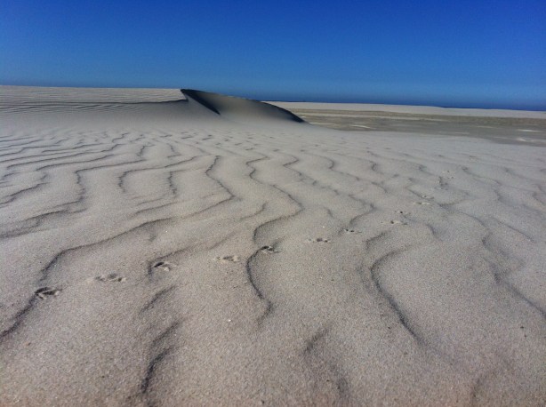 Footprints in the sand