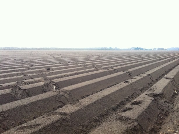 Ploughed field