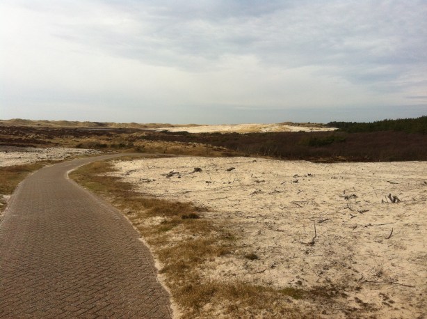 Cycling through the dunes