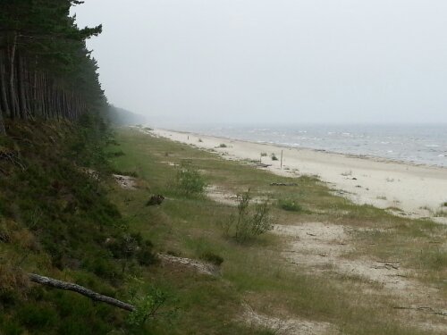 20130625_141137.jpg image