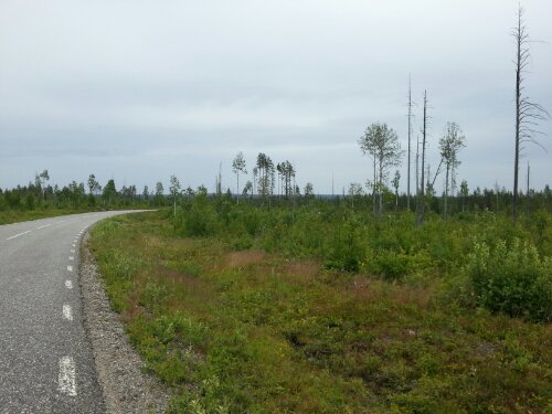 20130709_091954.jpg image