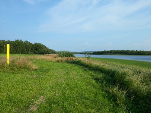 20130802_171847.jpg image