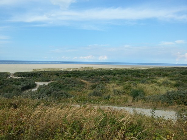 Sandhills