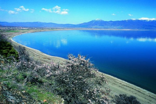 Lake Ohrid, Macedonia. http://myweb.unomaha.edu