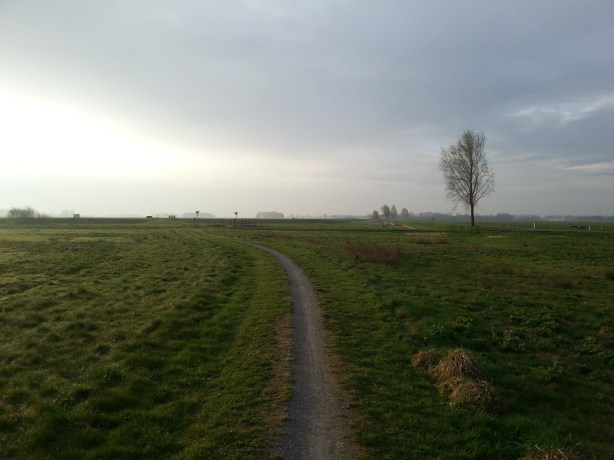 Path through the fields