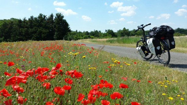 20140624_121051.jpg image