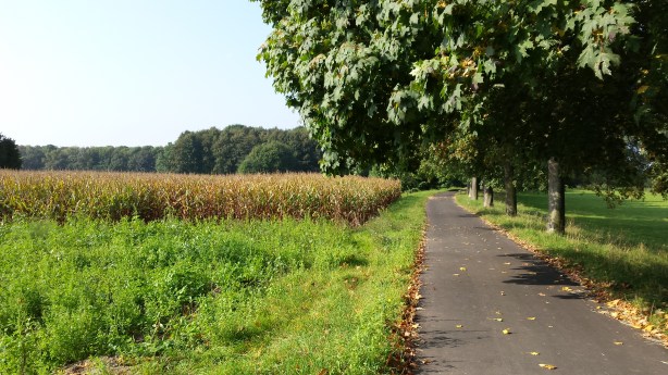 Along the Rhein River