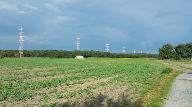 A road through the fields