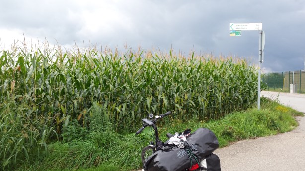 The black clouds loom.