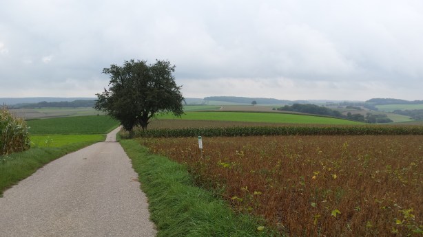 Rolling fields on the way to Heilbronn