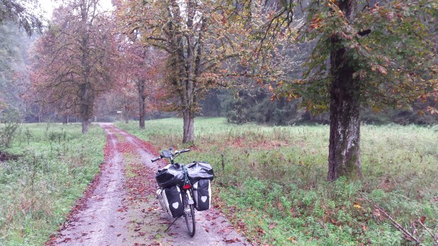 In the forest before Tübingen