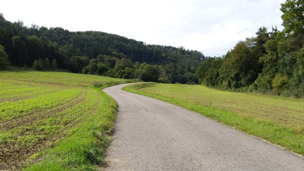 Path along the Neckar