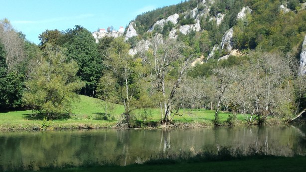 Castle perched on a hill