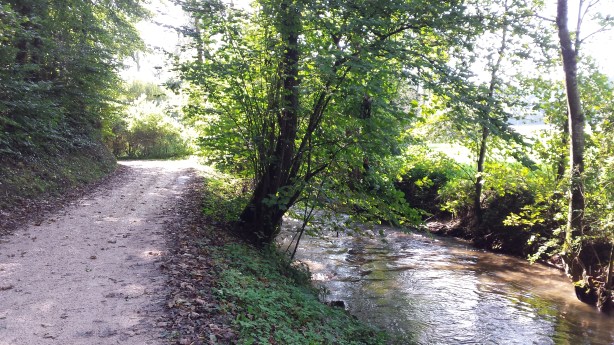 Cycling along a beautiful stream