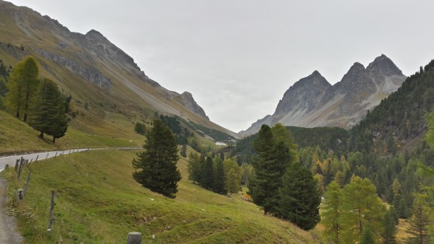 Looking up at the Albula Pass