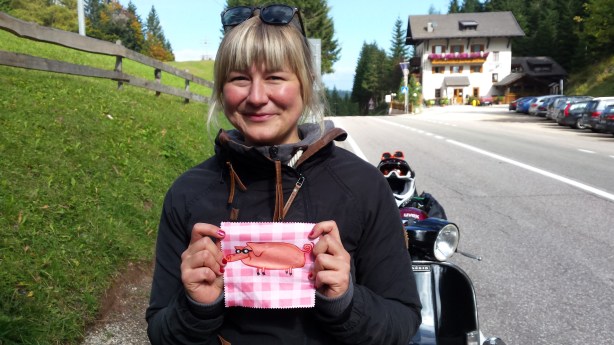 Lucky pig sunglasses cloth