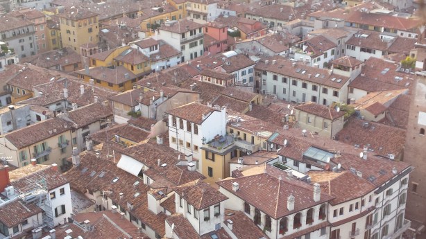 Verona from above