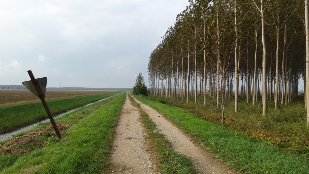 Just off the main road