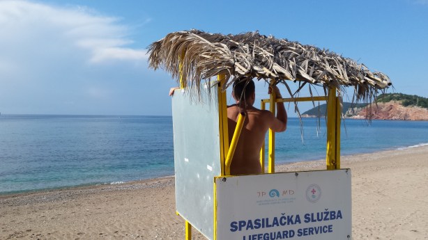 Contemplating a swim