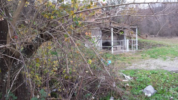 Rubbish at a drinking spring