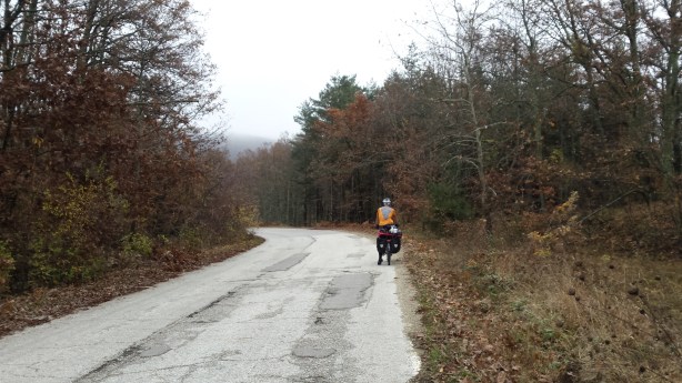 The views are hidden by the balding forest