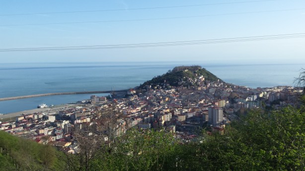Giresun from our hazelnut orchard farm