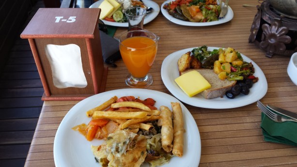 Plates 1 and 2 for James and me