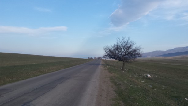 Plains before Tbilisi