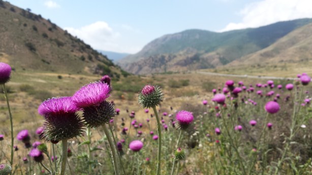 On the way to Chaman Bid