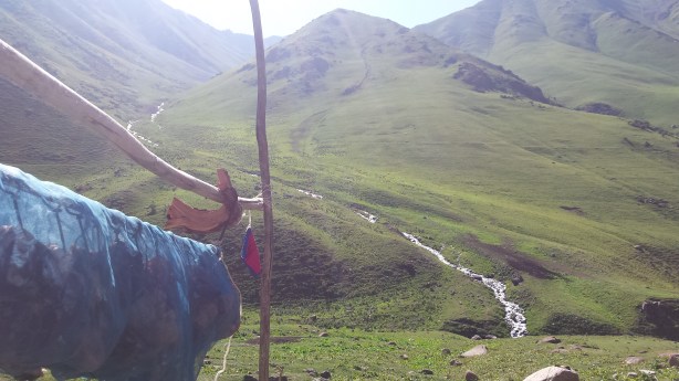 Meat hanging out to dry