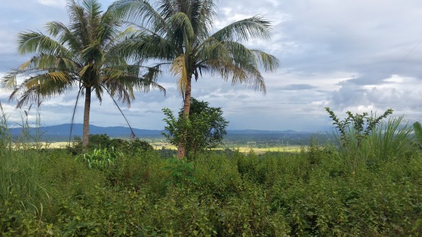 View from a small pass