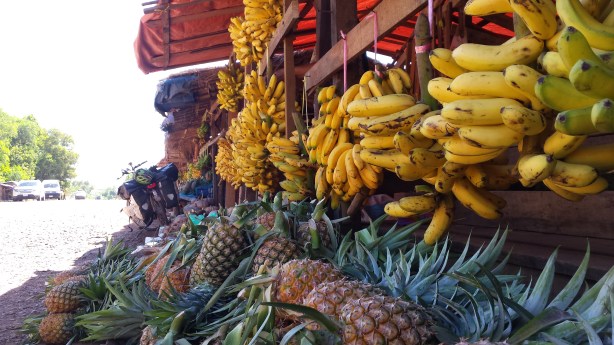 Banana and pineapple stop