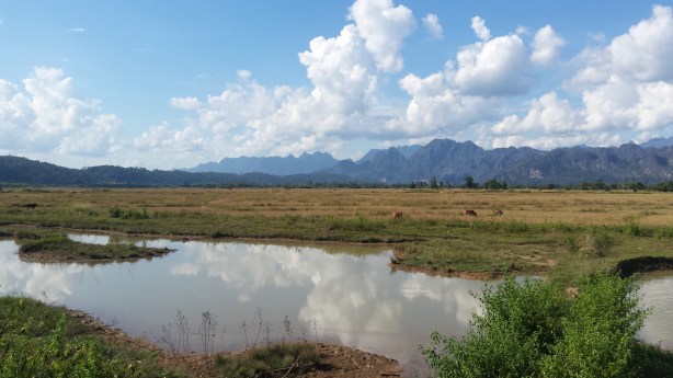 The beautiful plains