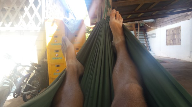 In the hammock