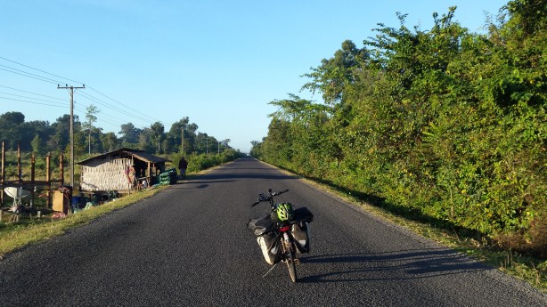 Cycling in the morning light