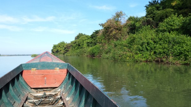 Coming back from seeing the dolphins