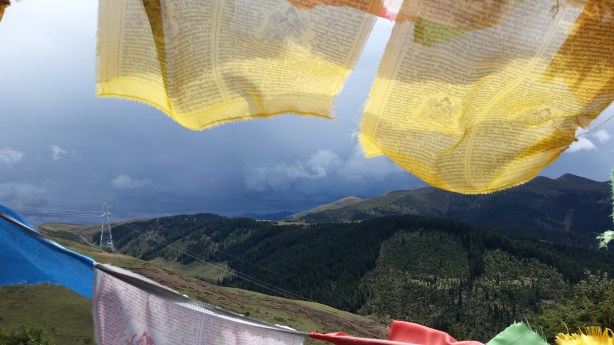 Looking towards the dark