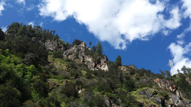 Looking up - a long way up