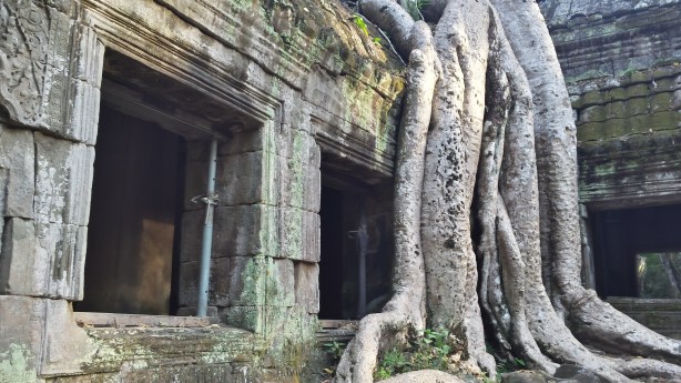 Ta Prohm temple