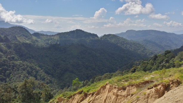 The way up to the Cameron Highlands