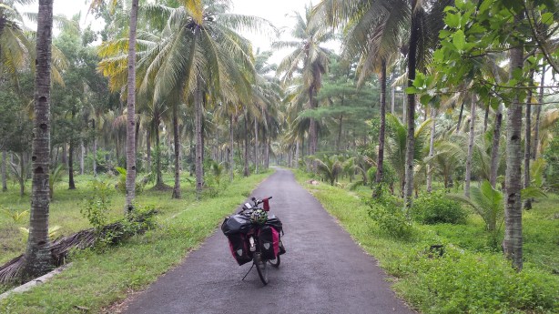 Small path next to the beach